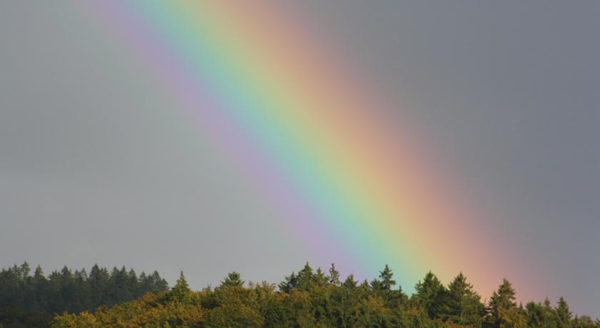 Fewo Harz Haennig 1 Wieda Oda fotoğraf