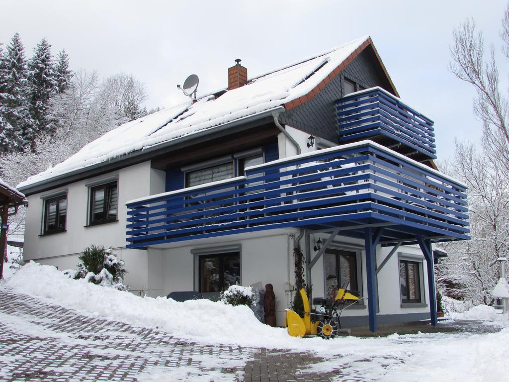 Fewo Harz Haennig 1 Wieda Dış mekan fotoğraf