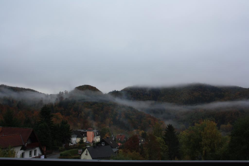 Fewo Harz Haennig 1 Wieda Dış mekan fotoğraf