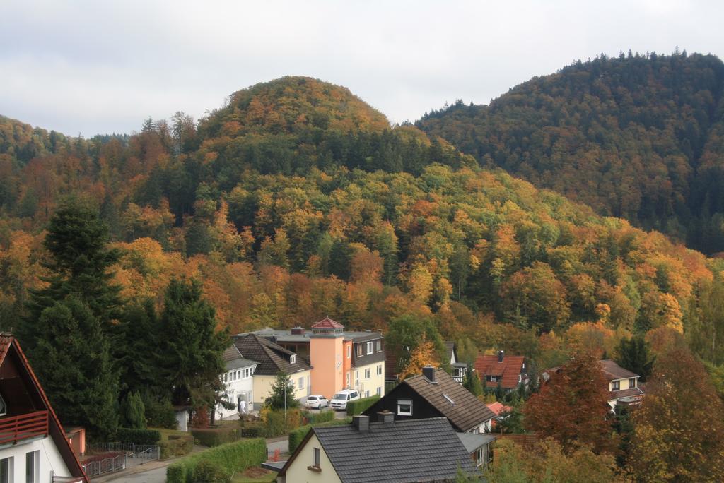 Fewo Harz Haennig 1 Wieda Dış mekan fotoğraf